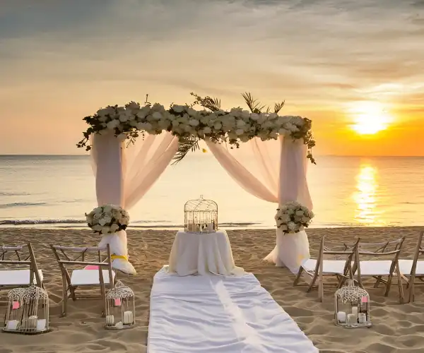 Modern Minimalism wedding decor goa